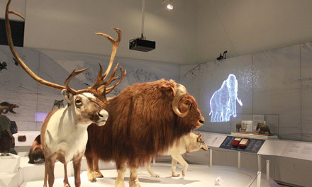 {Museum of Nature’s “Planet Ice: Mysteries of the Ice Ages” exhibit extended until January 8. }