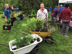 Vente de plantes réussie pour l’Association du patrimoine d’Aylmer le 1 juin. 
Photo: Charles Fontaine