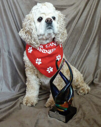 Photo: Club Canine