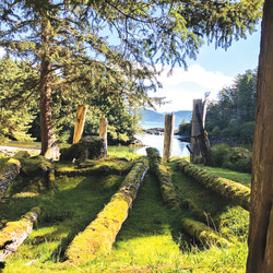 SGang Gwaii village from the forest, Looking out to the ocean. It shows the collapsed longhouses, where their totem poles are still standing, gazing out to sea. We can imagine their splendour when this was a bustling village of some 300 or so people. 
Photo: Katharine Fletcher