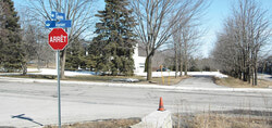 L’intersection du chemin Vanier et de la rue Calvados et la rangée d’arbres près de Rapides-Deschênes qui seront préservés aux dires de la Ville. 	Photo: JM